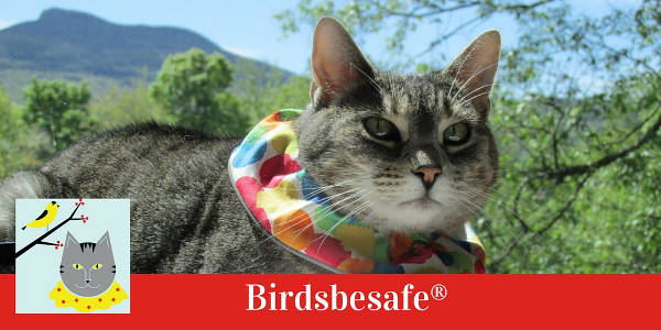 BirdSafe cat