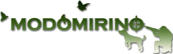 Logo Verde Modo Mirino