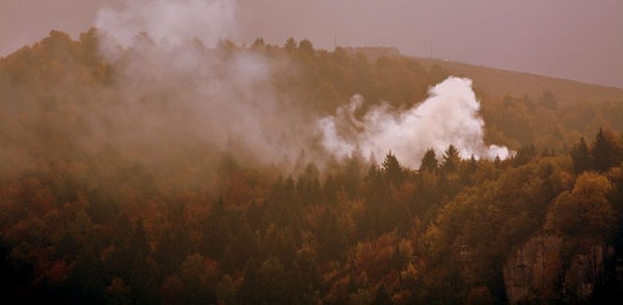 Incendi in Piemonte gli ambientalisti chiedono la chiusura della caccia