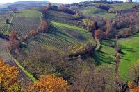 L&#039;Emilia Romagna torna sui suoi passi sul divieto del piombo