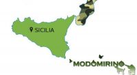 Sicilia, modifica al Calendario Venatorio 2018/2019