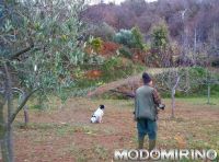 Toscana, regione arancione, ma consentita la caccia in tutto l&#039;ATC