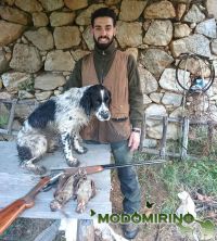 A caccia in Calabria a Beccacce col .410 e Springer