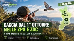 Calabria, chiarimenti sulla caccia dal 1° ottobre nelle ZPS e in alcune ZSC