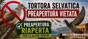 Caccia in Sicilia, il CGARS salva la preapertura: stop confermato solo per la Tortora