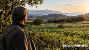 Caccia e agricoltura, dalla Liguria 450 mila euro per prevenire e risarcire i danni della fauna selvatica